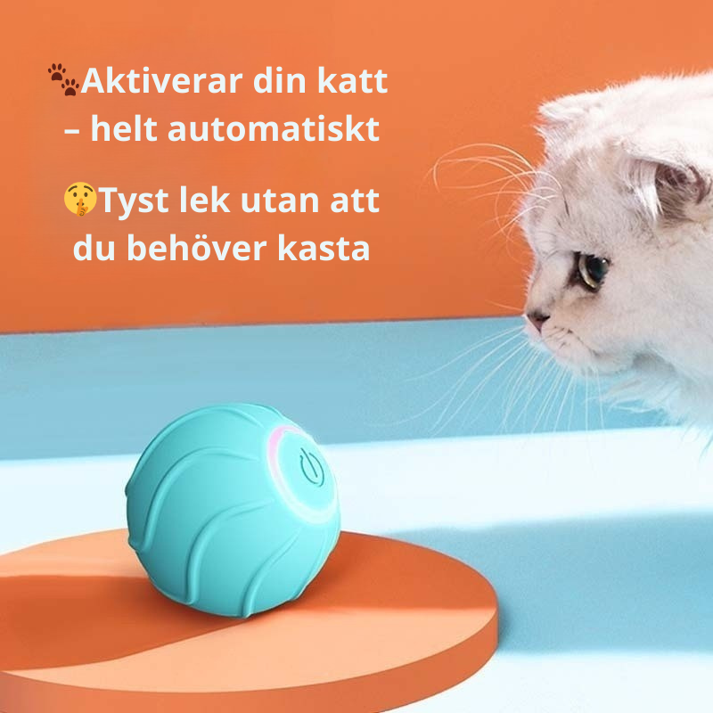 KittyRoll™ – Smart Aktiveringsboll