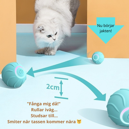KittyRoll™ – Smart Aktiveringsboll