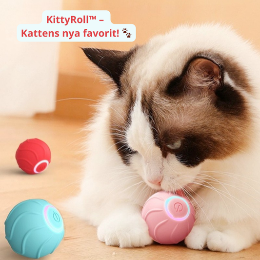 KittyRoll™ – Smart Aktiveringsboll