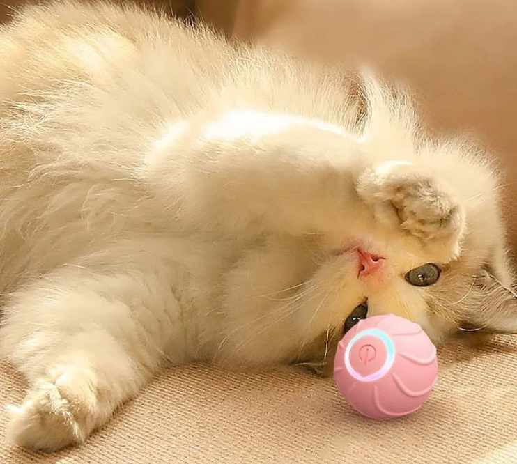 KittyRoll™ – Smart Aktiveringsboll