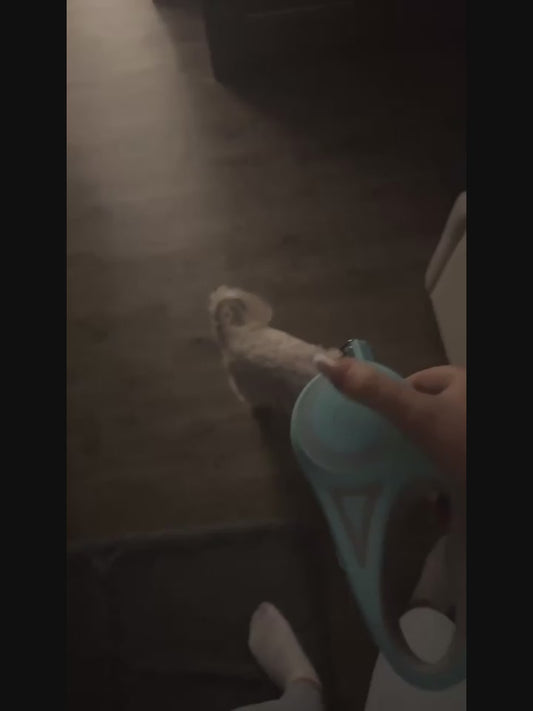 Hundkoppel med LED-ljus